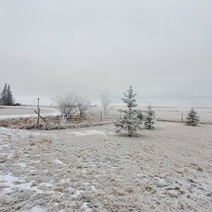 Meet your Posher, Bri